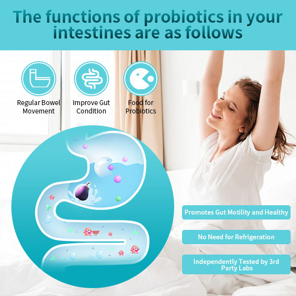 Semal Gut Sweeper Intestinal Probiotics for Men and Women (60 Capsules)