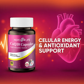 CoQ10 Coenzyme Q10 comprehensive antioxidant network