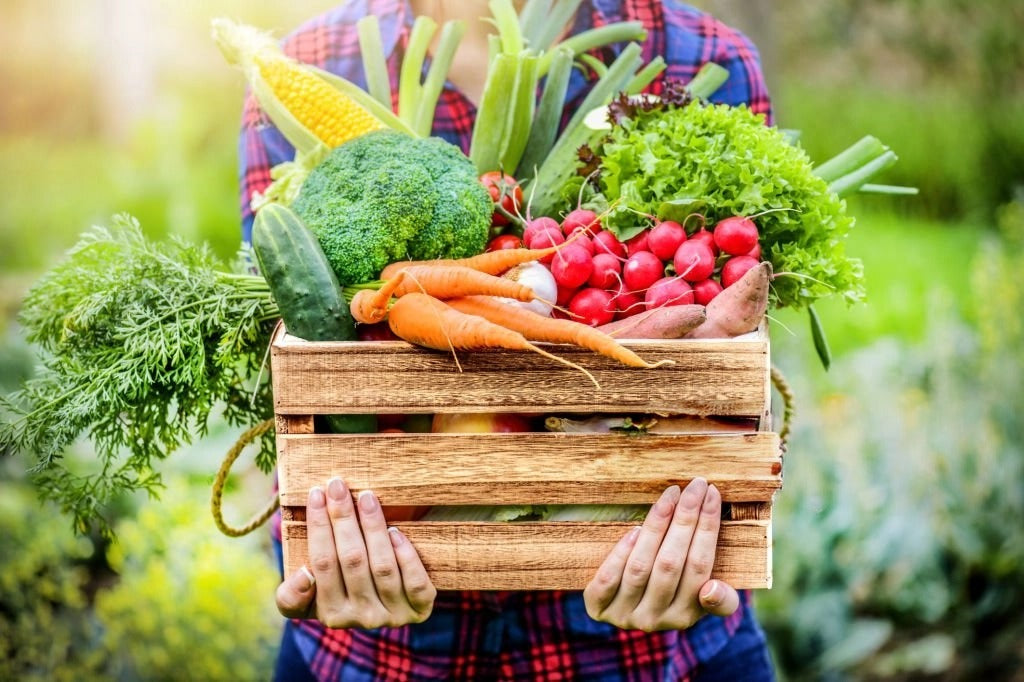 What is the difference between prebiotics and probiotics?