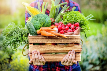 What is the difference between prebiotics and probiotics?
